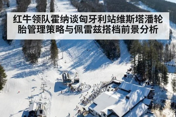 红牛领队霍纳谈匈牙利站维斯塔潘轮胎管理策略与佩雷兹搭档前景分析