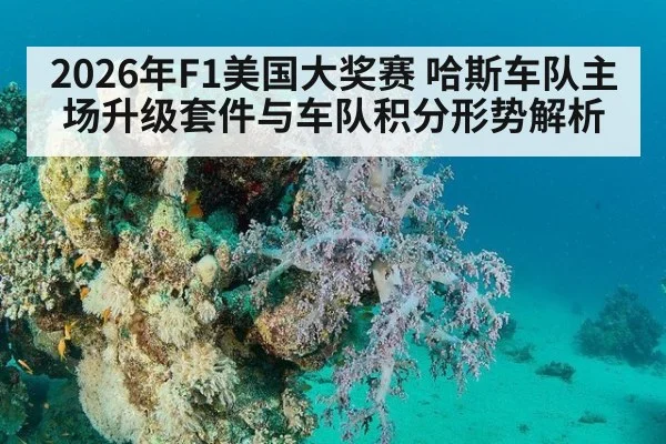 2026年F1美国大奖赛 哈斯车队主场升级套件与车队积分形势解析