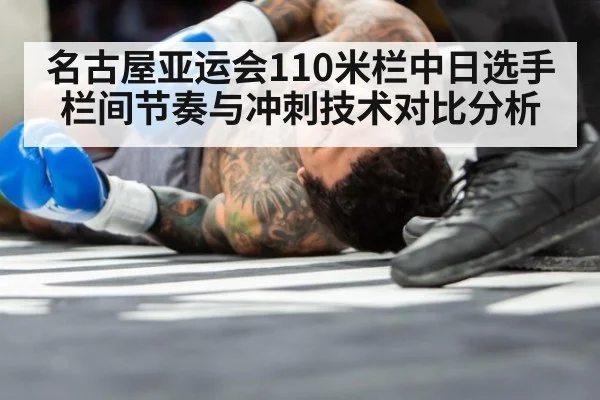 名古屋亚运会110米栏中日选手栏间节奏与冲刺技术对比分析