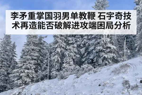 李矛重掌国羽男单教鞭 石宇奇技术再造能否破解进攻端困局分析